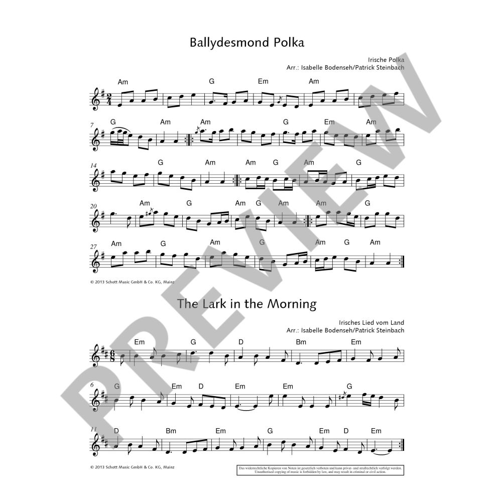 Das irische Flötenbuch