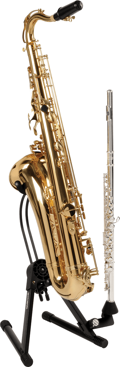 SCHWARZ STNDER FR ALTSAXOPHON UND TENORSAXOPHON
