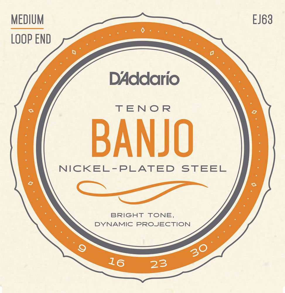 D'ADDARIO EJ63 Tenor Banjo Saiten Nickel 9-30