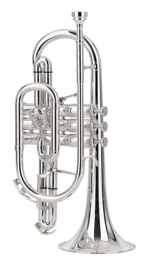 Sovereign B Silber - BE928G-2-0
