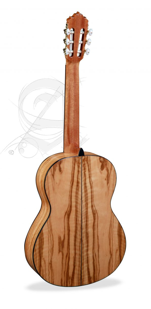 Conservatory 6 Olivo + 9738 25mm Gigbag