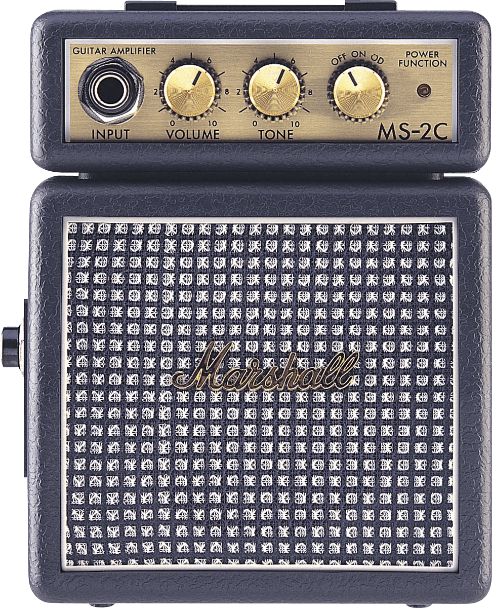 Marshall MINI MS2C