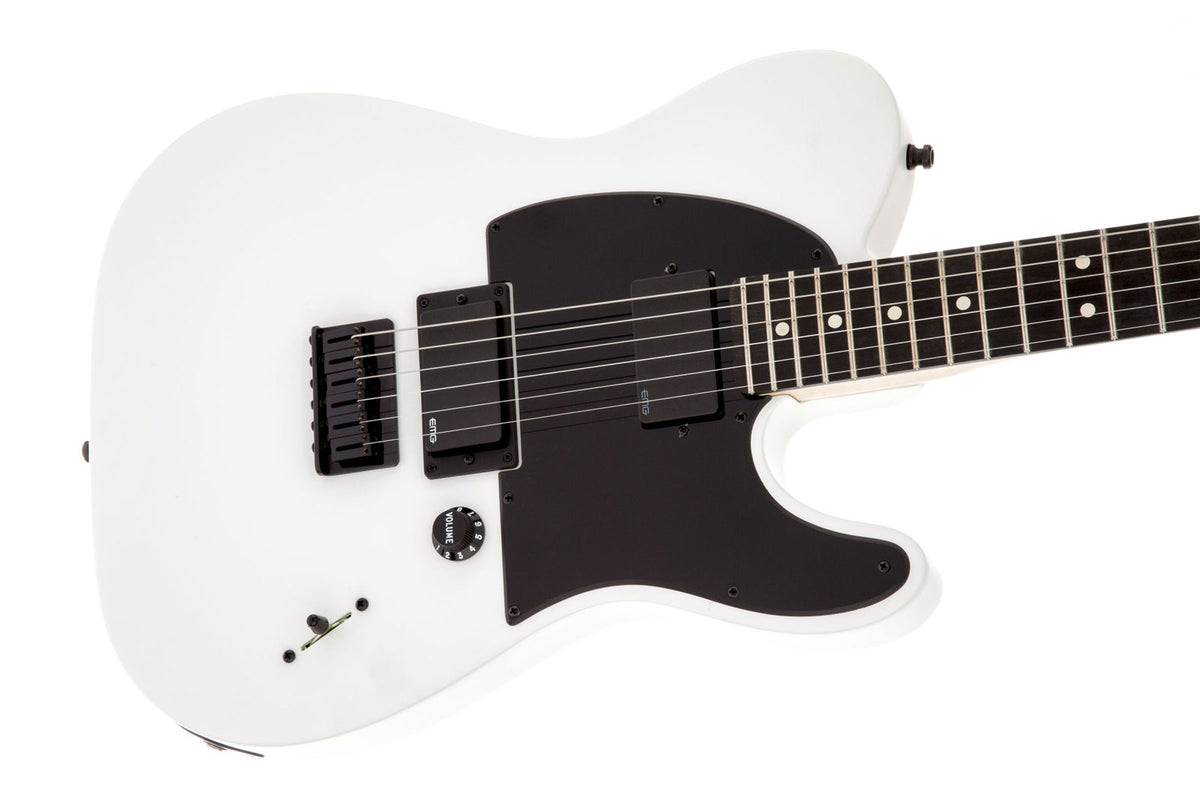 Telecaster Signature Jim Root Ebo Mattweiß