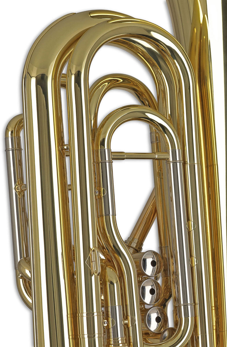 Ambition BB501C Contrebasse Ut Verni