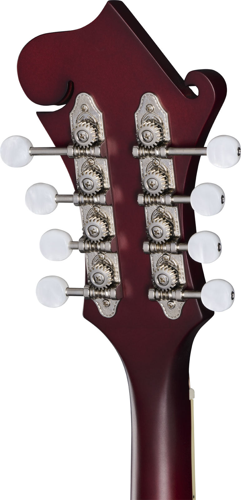 F-5 Studio Weinrot Satin Ibgcs