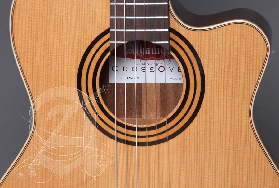 Concert Cs-1 Cw E1 Crossover + 9738 25mm Gigbag