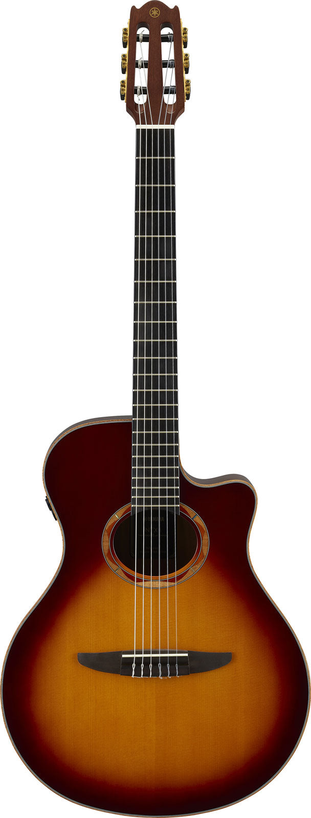 Ntx3 Braun Sunburst