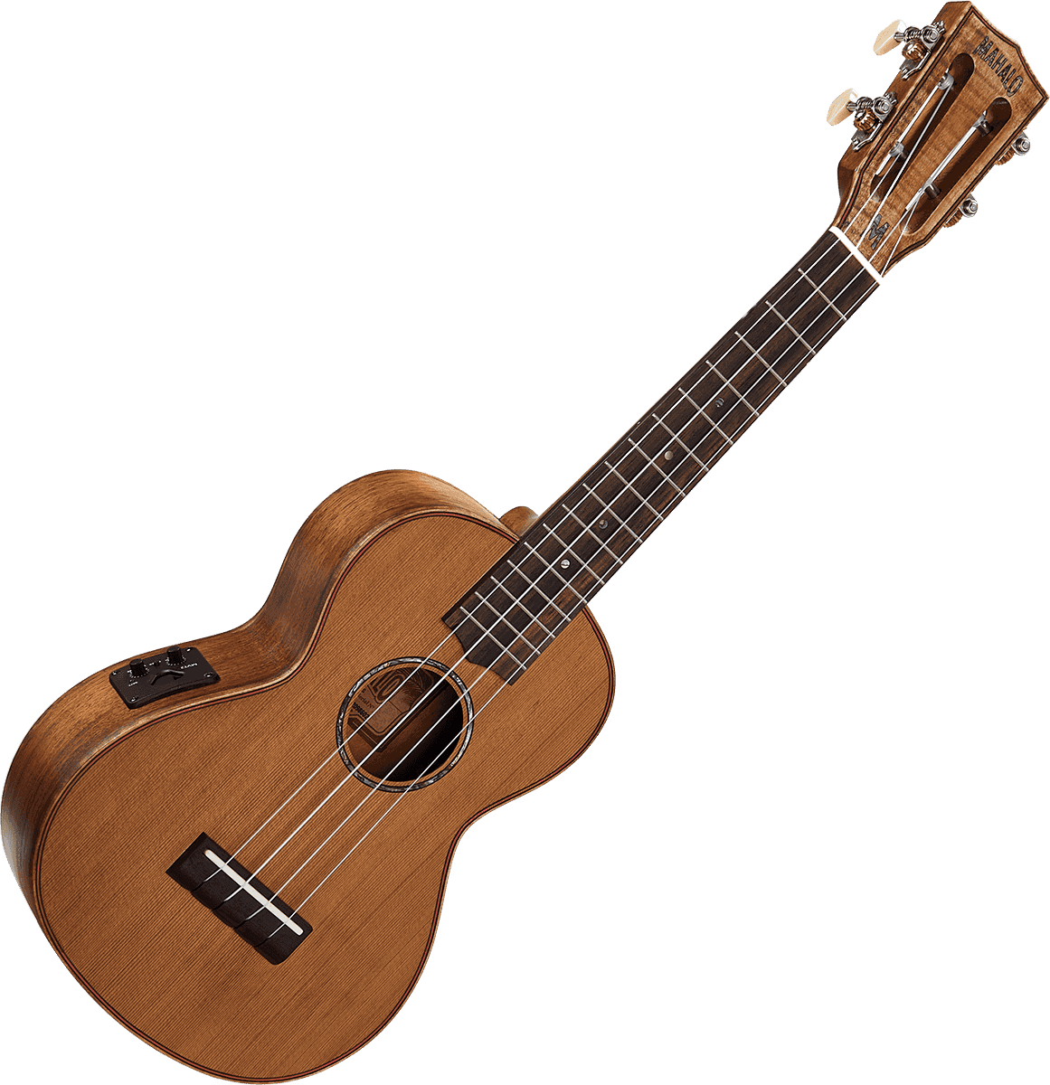 Concert Natur Elektro + Tasche