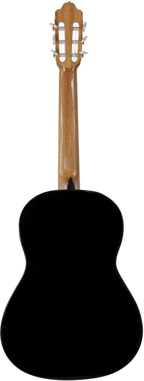 5F Spruce Top Blackstar