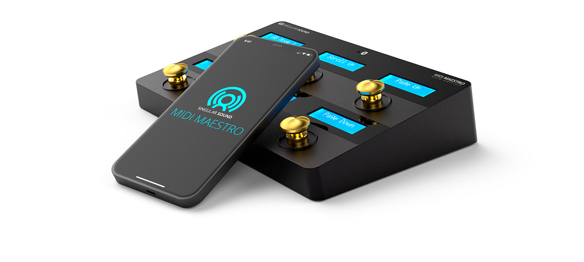 MIDI MAESTRO CONTROL PEDALS