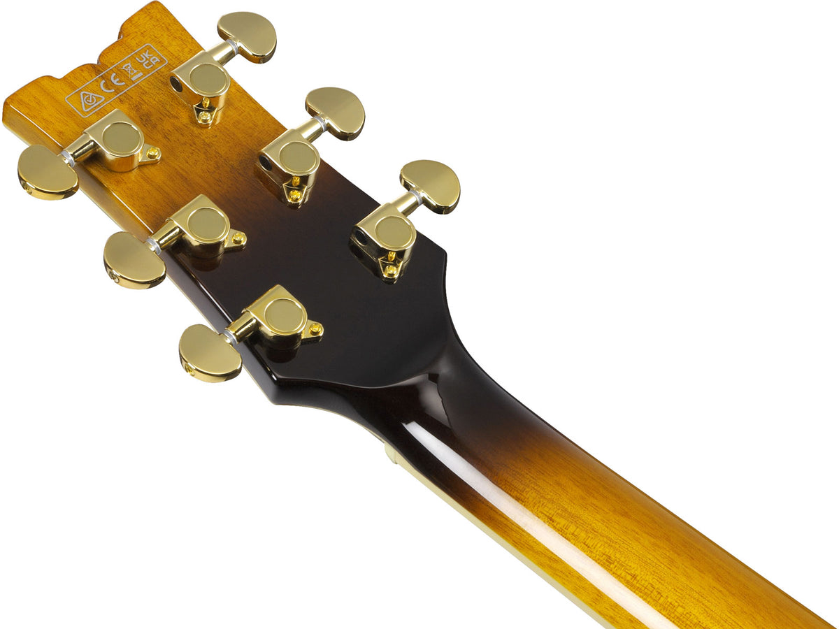 JSM10em Signatur von John Scofield Zweifarbiger Burst