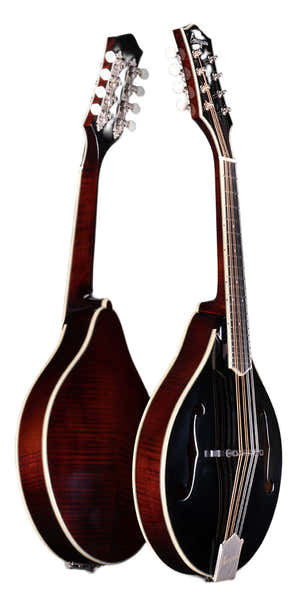 Bourgeois Guitars M5-A-BT