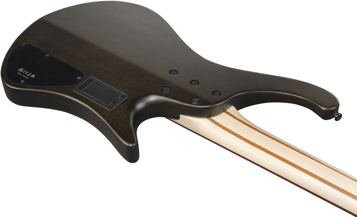 EHB6L Bass Workshop LTD Edition Linkshänder Walnuss Matt