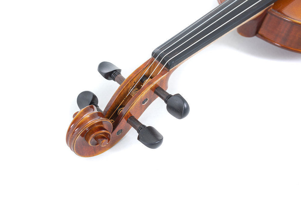 4/4 VIOLIN PREPARED FOR PLAYING PROFILED CASE MASSARANDUBA BOW LARSEN IL CANNONE STRINGS