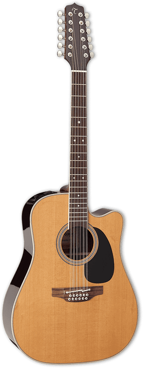 Japan Tt Dreadnought Cutaway Electro