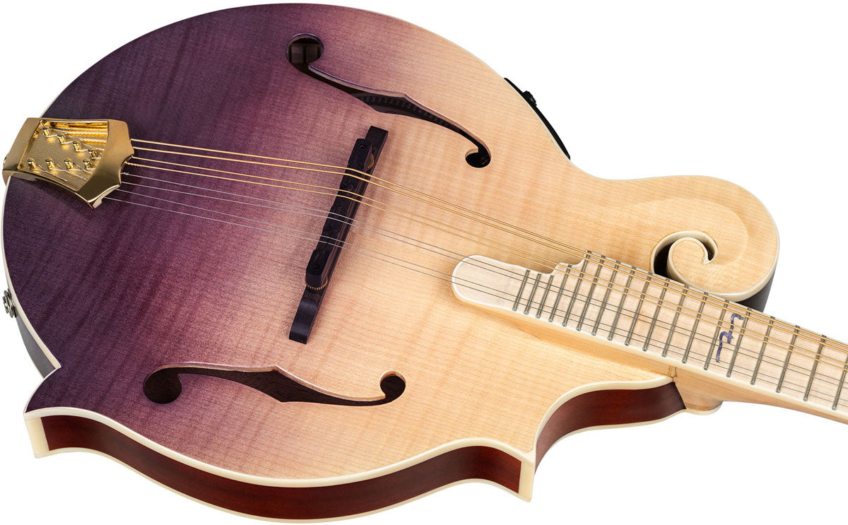 Americana F-Style Mandoline + Croco-Lederkoffer