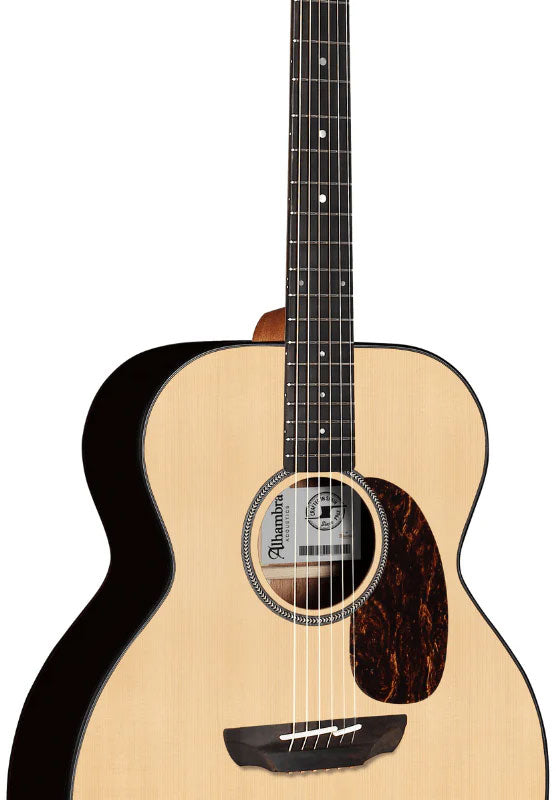 Conservatory AJ-SM E9 + gigbag 9739
