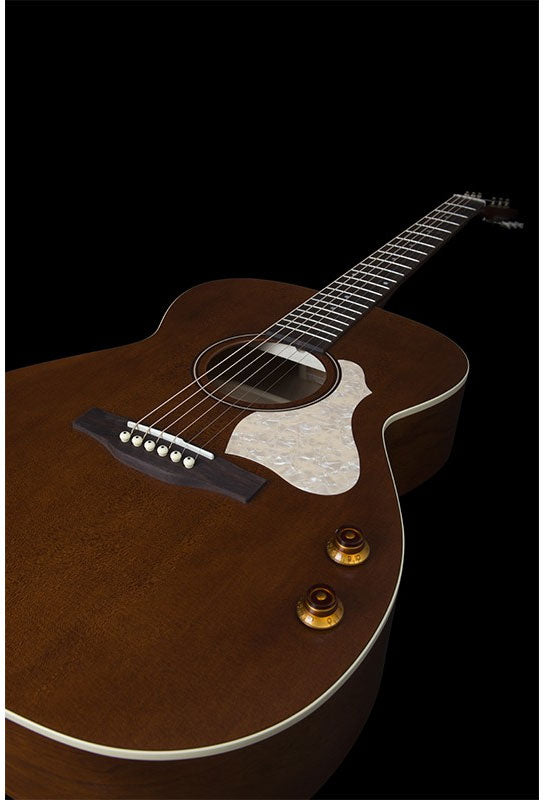 Legacy Havana Brown Q-Discrete