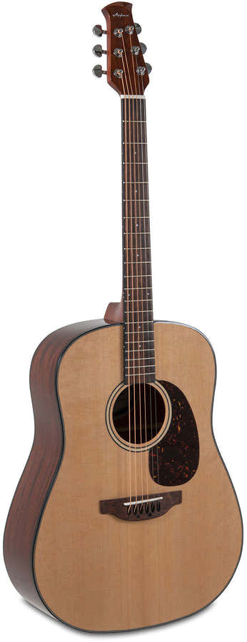 Akustikgitarre Wood Classics Aad96-4 Natural Gloss Natur Hochglanz