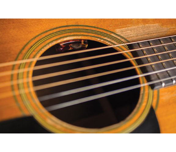 LYRIC WITH PREAMP AND VOLUME