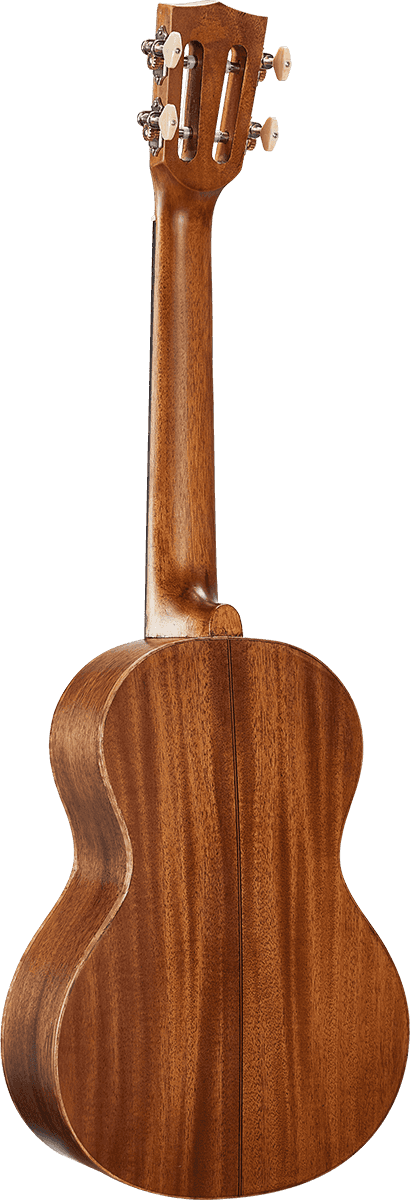 Naturbelassener Elektro-Tenor + Tasche