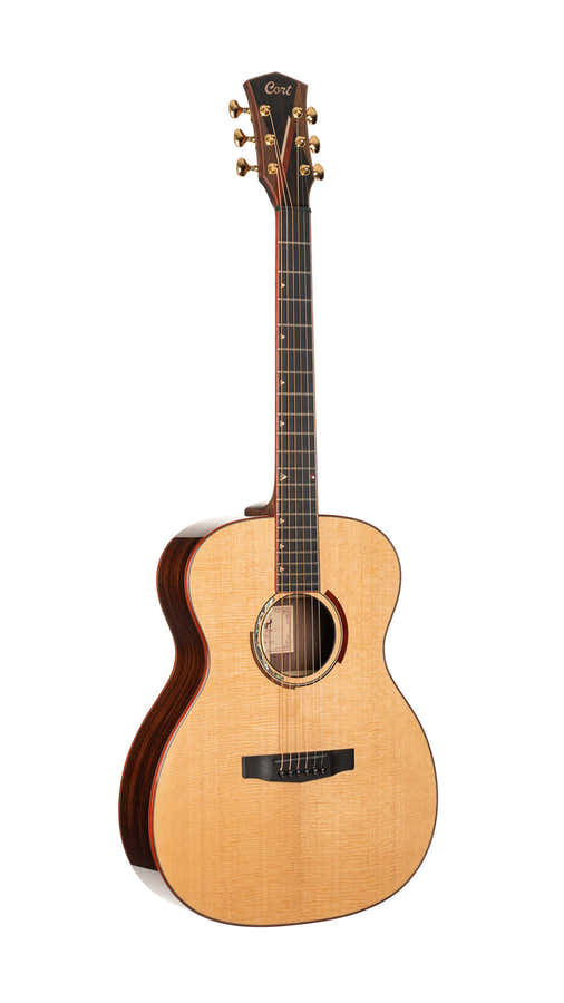 Gitarre Abstract Delta Natur