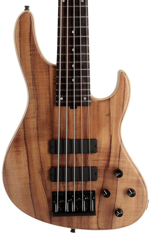 Modern Bass Metroline 5 LTD 2025