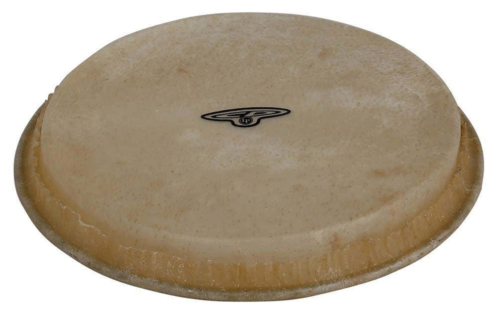 CP221B - CP LINE BONGO HEAN - 7 1/4" HEMBRA