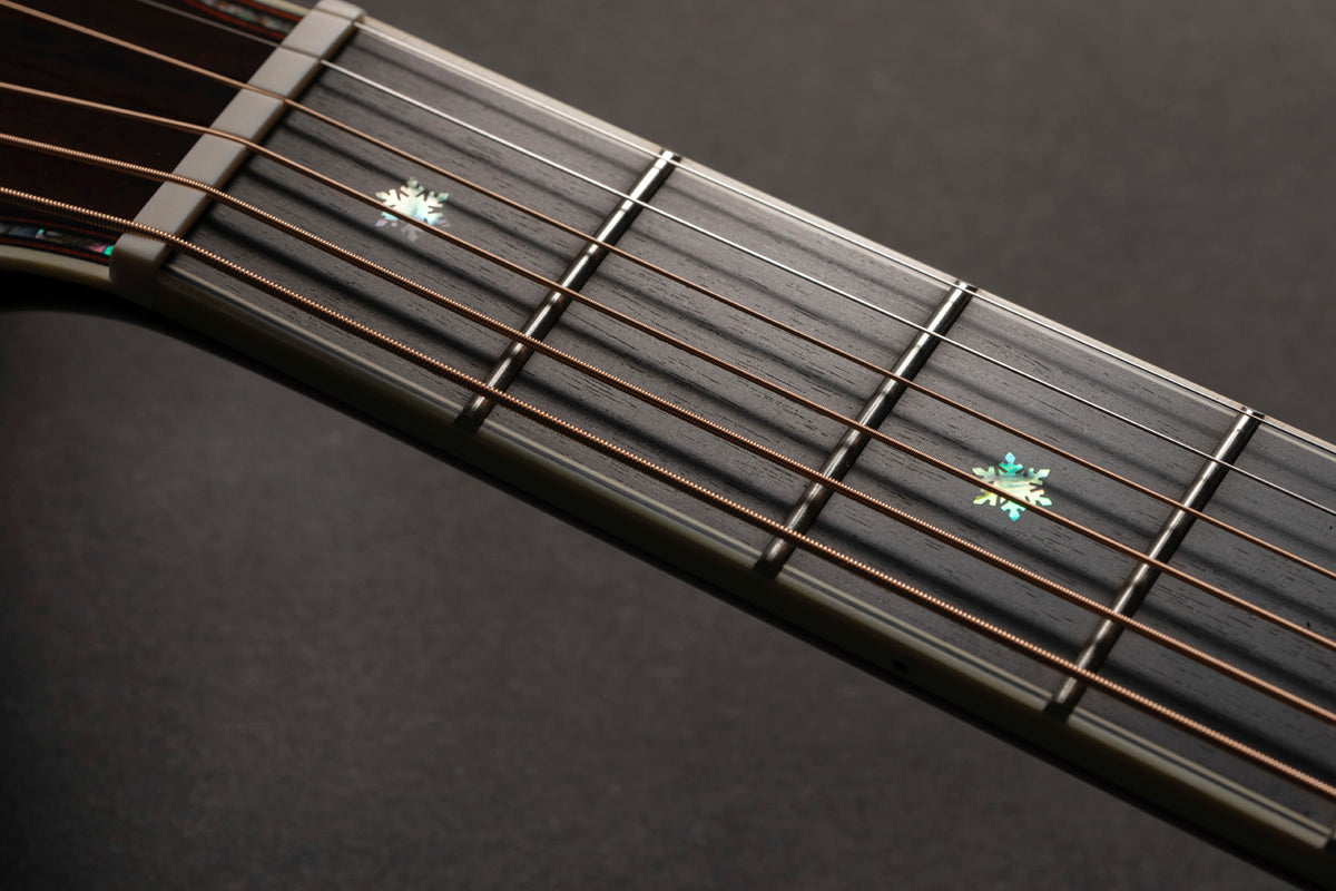 Nex Cutaway Electro P10NC