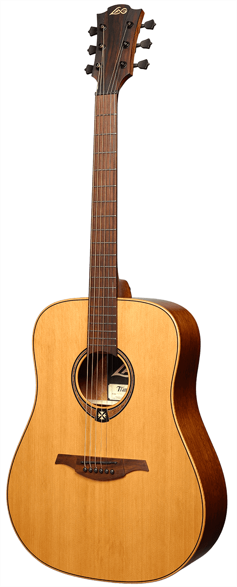 Tramontane T170D Dreadnought
