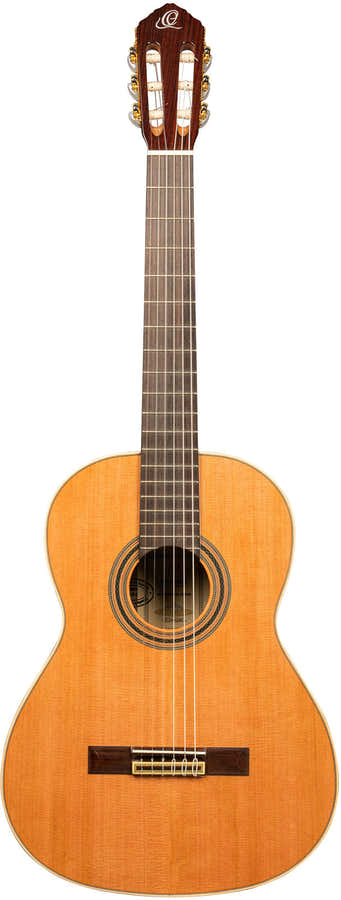 Traditional 4/4 6 LH + Pro-Gigbag