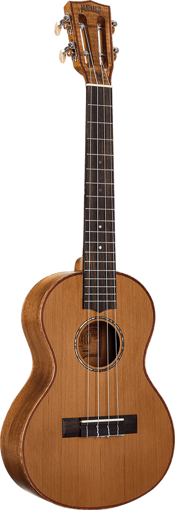 Naturbelassener Elektro-Tenor + Tasche