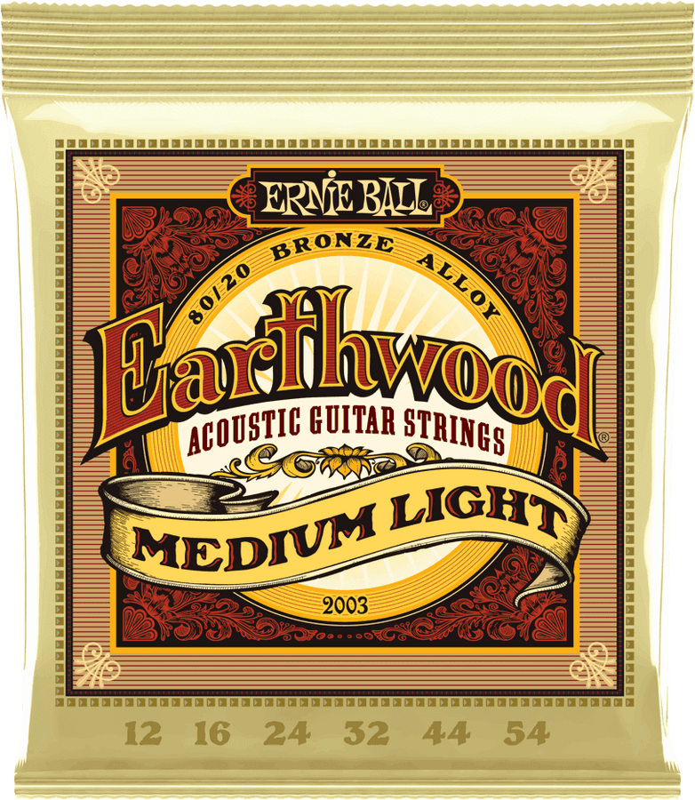 2003 ACOUSTIC EARTHWOOD BRONZE 12 54