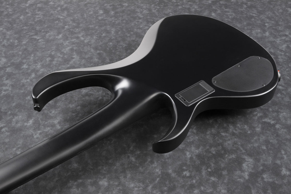 Btb625Ex-Bkf Schwarz Flat Iron Label