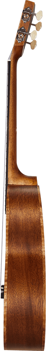 Naturbelassener Elektro-Tenor + Tasche
