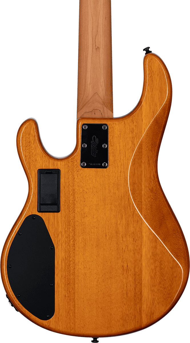 StingRay 5 RAY35 HH Amber, 5 String