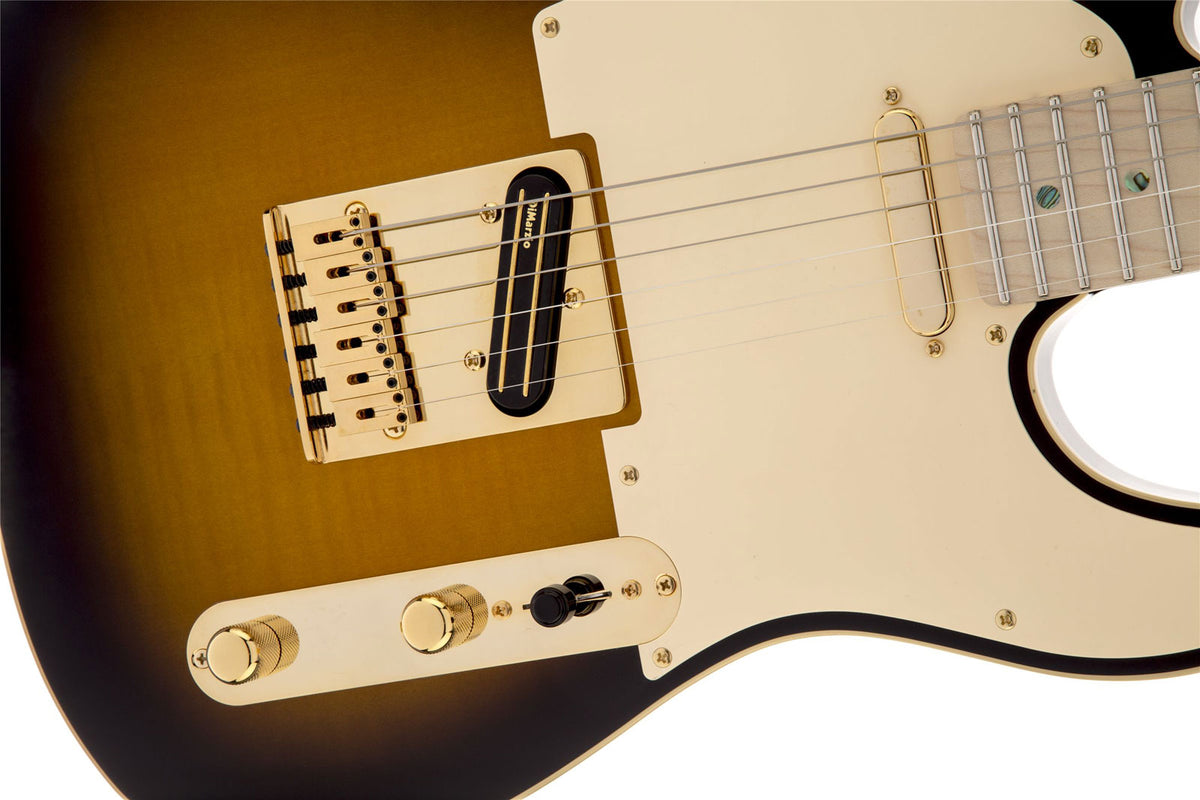 Telecaster Signatur Richie Kotzen MN Brauner Sunburst