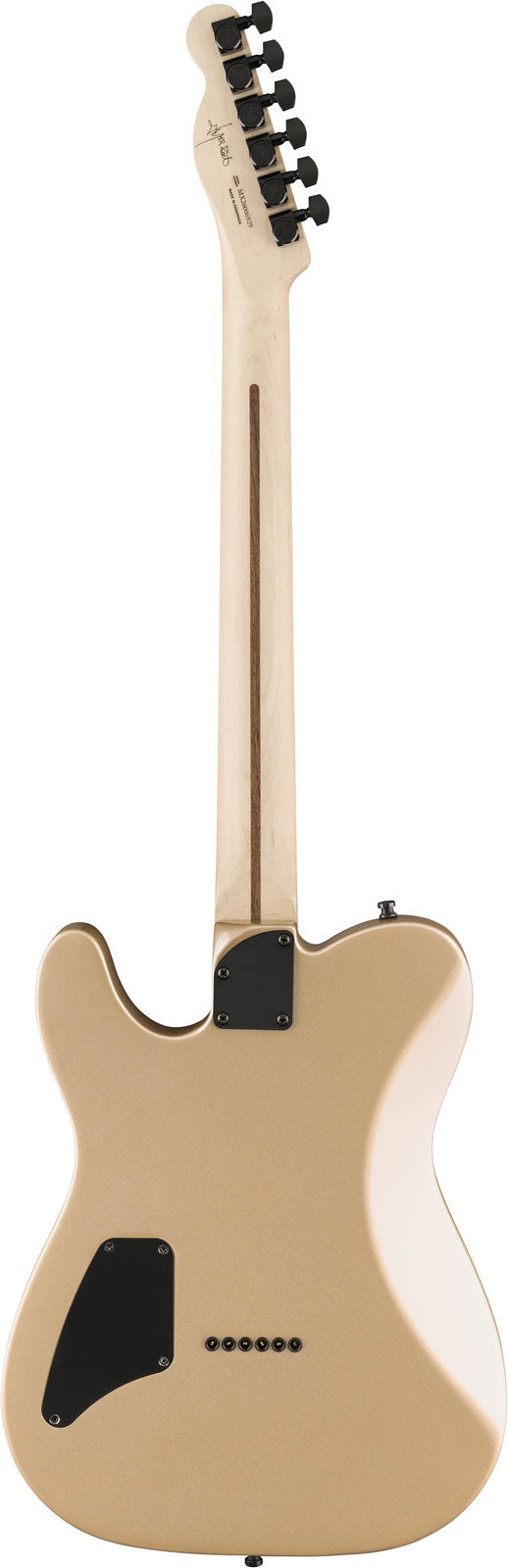 Telecaster Jim Root Ebo Shoreline Gold