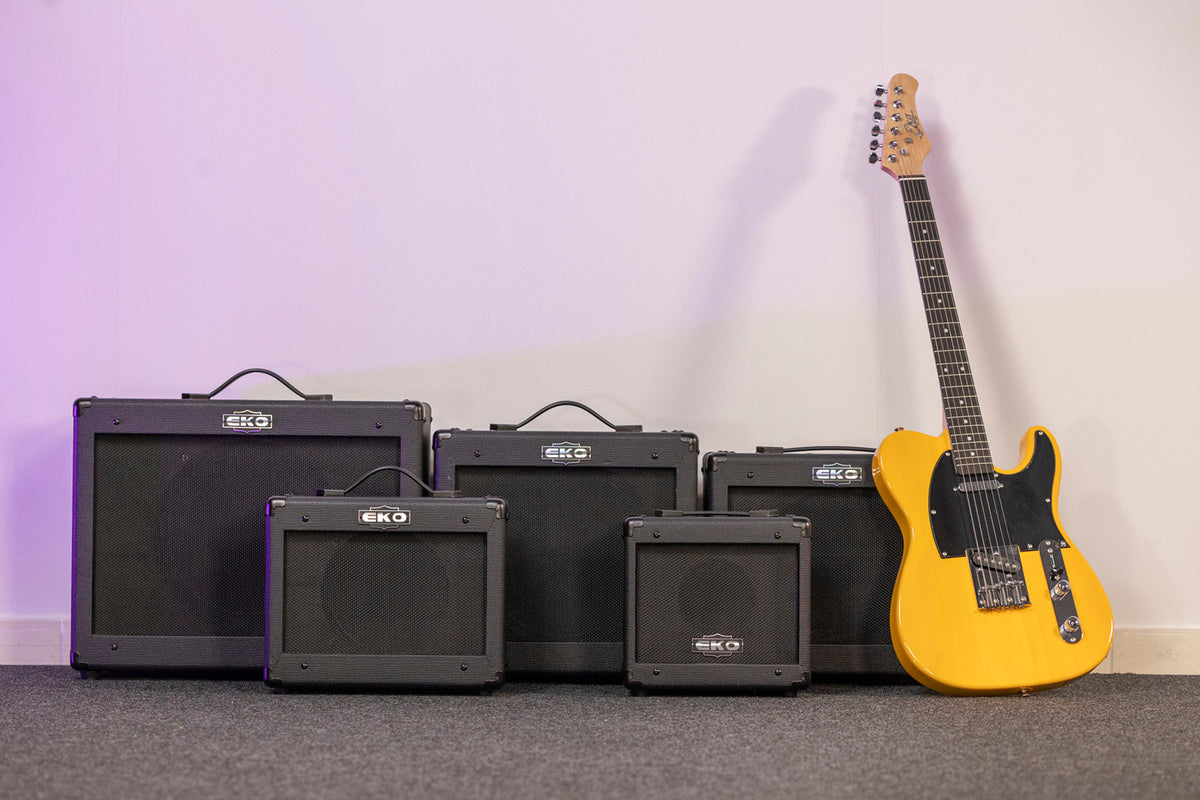 2 channels + FX loop + Reverb - 10" speaker - 25W