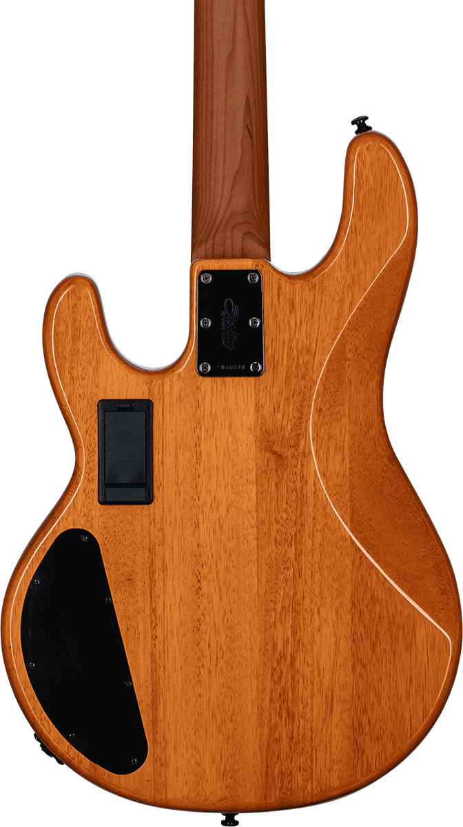 Ray 34 HH Poplar Burl Amber