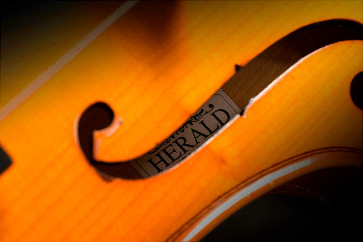 1/2 VIOLON TOUT MASSIF AS112