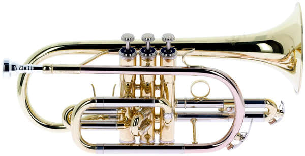 Woodbrass WCR200 - Si B Lackiert