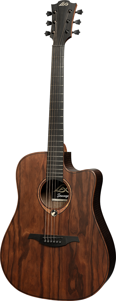 Sauvage Dreadnought Ctw