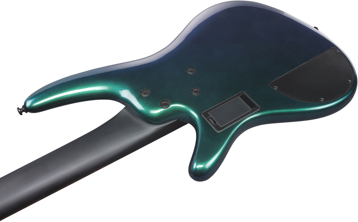 SRMS725-BCM Blaues Chamäleon Bass Workshop