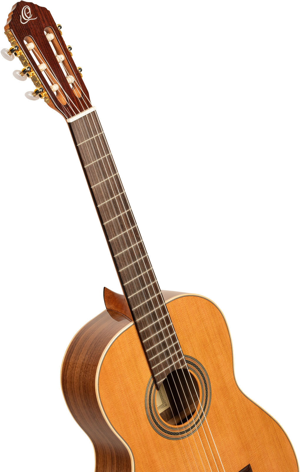 Traditional 4/4 6 LH + Pro-Gigbag