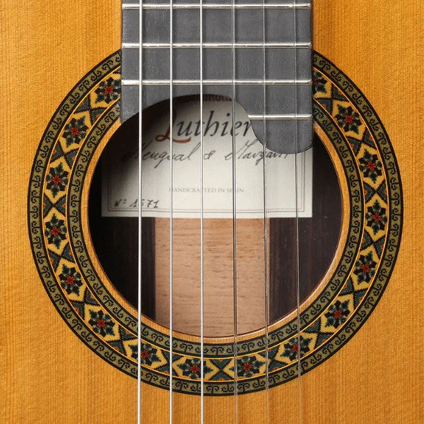 Professional Luthier Moncabrer Nitro + 9650 Bam Iconic Case