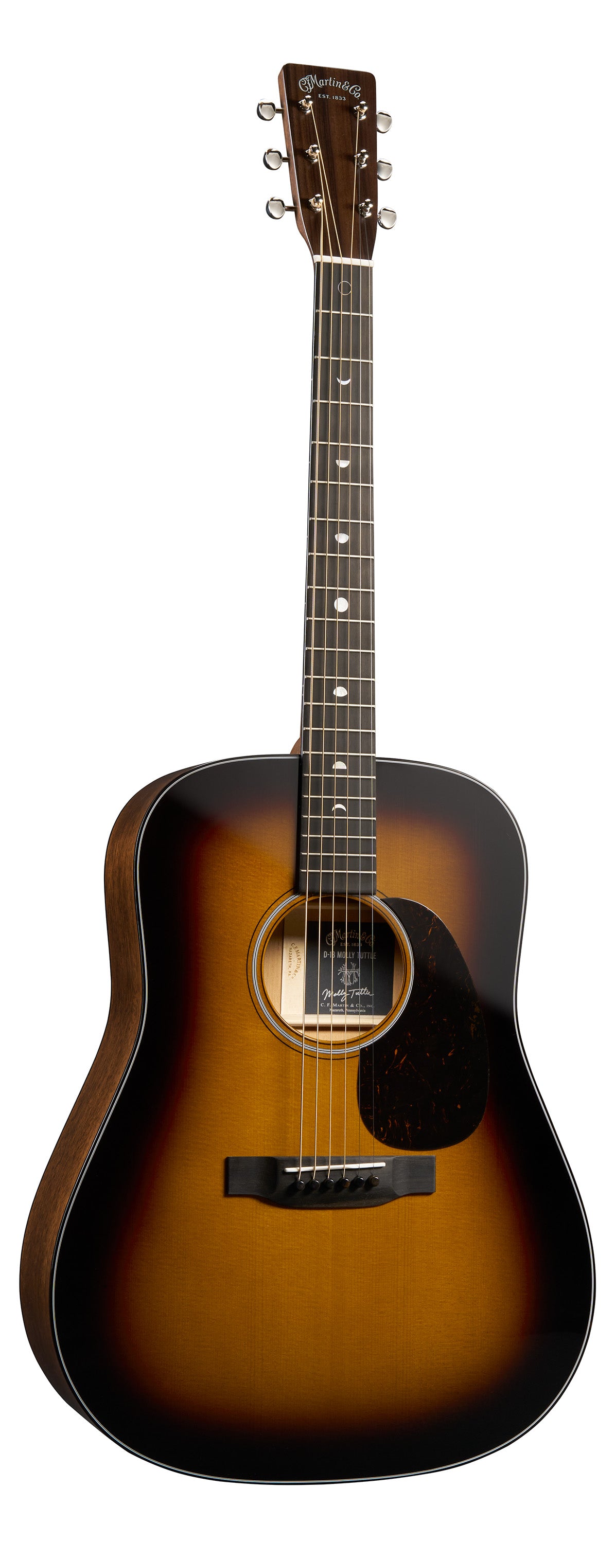 D 18 MOLLYTUTTLE