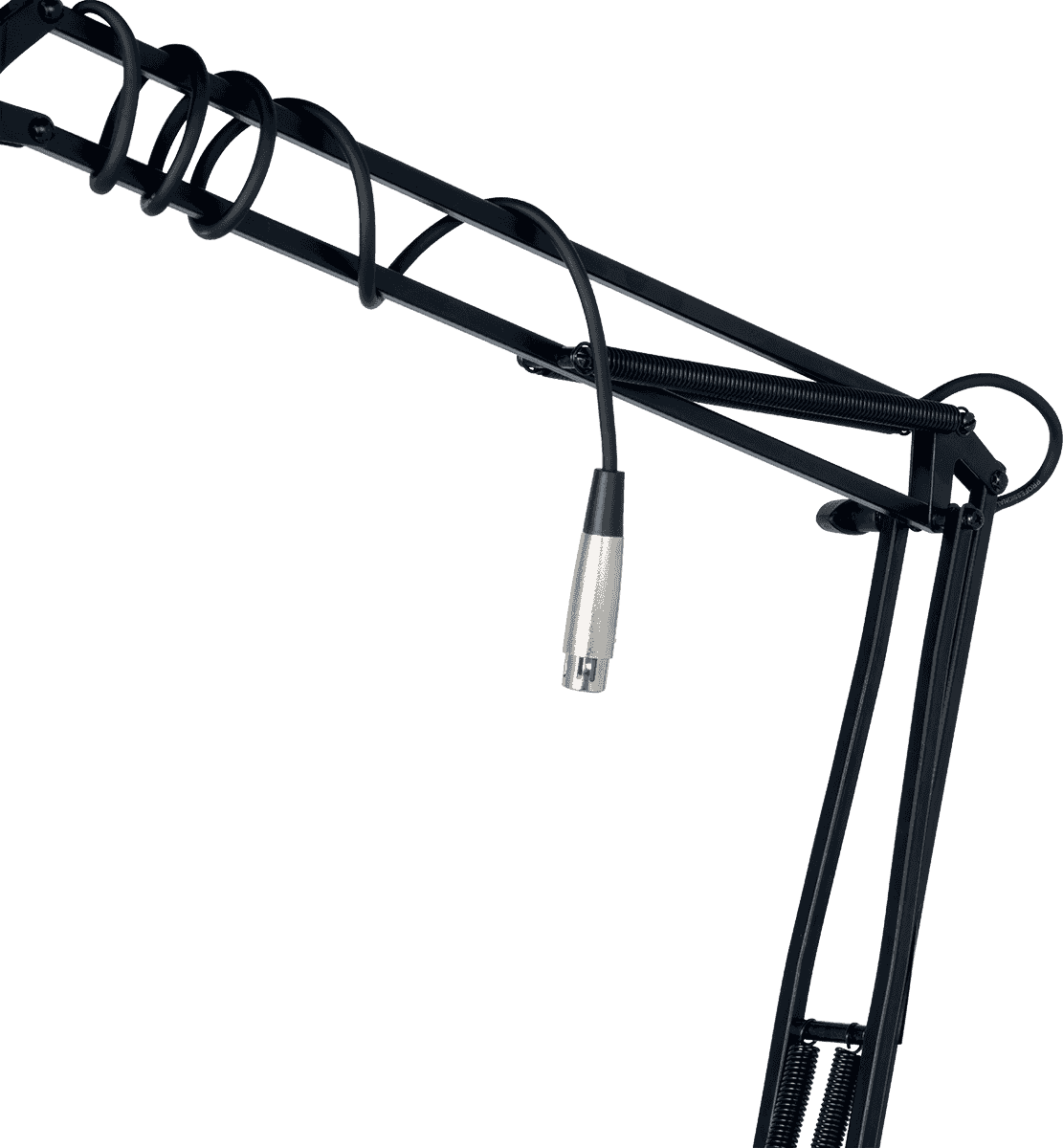 A25 Black Perche