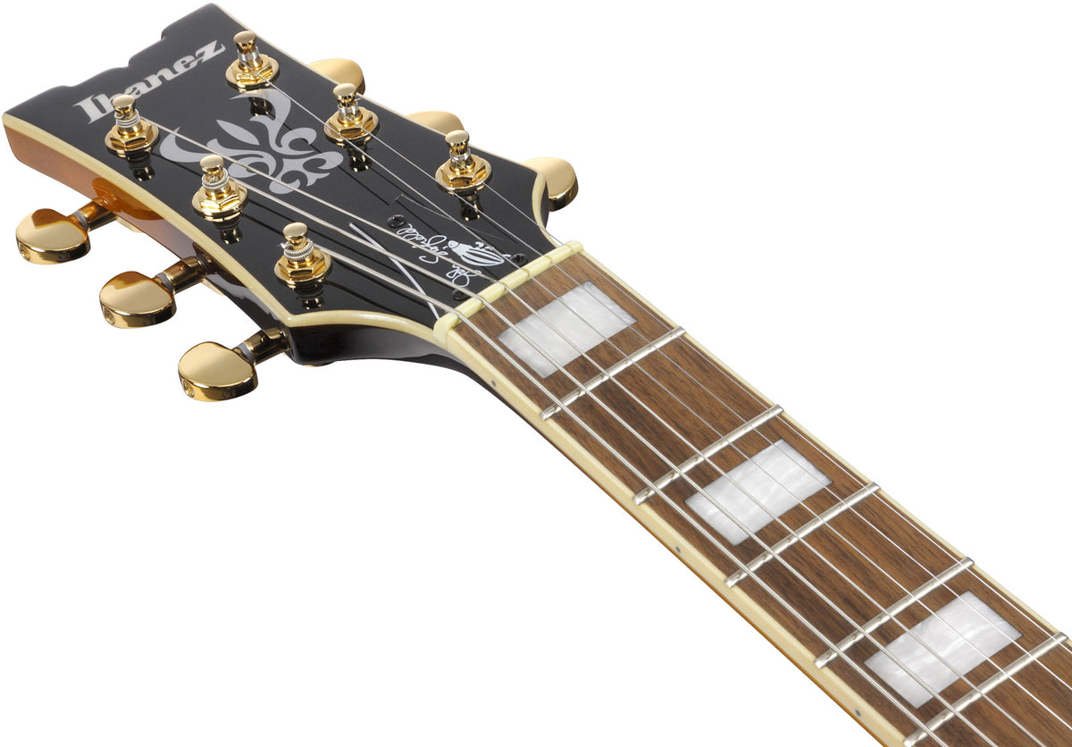 JSM10em Signatur von John Scofield Zweifarbiger Burst