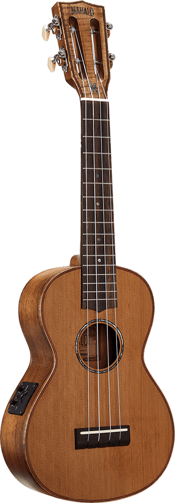 Concert Natur Elektro + Tasche